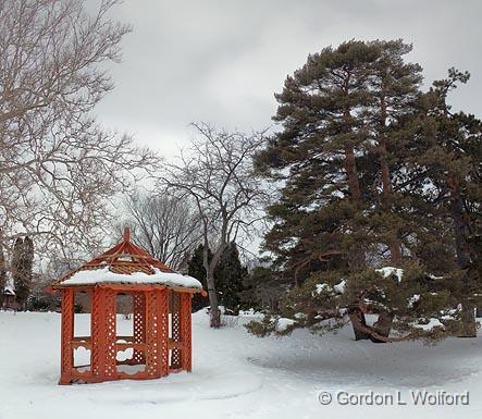 Winter In The Ornamental Gardens_12792-3.jpg - Photographed at Ottawa, Ontario - the capital of Canada.